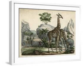 Giraffes Scent Danger-null-Framed Art Print