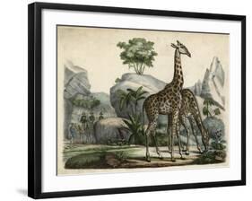 Giraffes Scent Danger-null-Framed Art Print