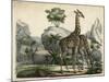 Giraffes Scent Danger-null-Mounted Art Print