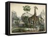 Giraffes Scent Danger-null-Framed Stretched Canvas