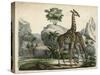 Giraffes Scent Danger-null-Stretched Canvas