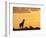 Giraffes, Silhouetted at Sunset, Etosha National Park, Namibia, Africa-Ann & Steve Toon-Framed Photographic Print