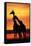 Giraffes Silhouettes at Sunset-null-Framed Stretched Canvas