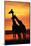 Giraffes Silhouettes at Sunset-null-Mounted Photographic Print