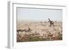 Giraffes, Springbok, Oryx Among Others in Etosha National Park, Namibia, by a Watering Hole-Alex Saberi-Framed Photographic Print