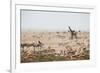 Giraffes, Springbok, Oryx Among Others in Etosha National Park, Namibia, by a Watering Hole-Alex Saberi-Framed Photographic Print