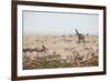 Giraffes, Springbok, Oryx Among Others in Etosha National Park, Namibia, by a Watering Hole-Alex Saberi-Framed Photographic Print