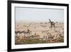 Giraffes, Springbok, Oryx Among Others in Etosha National Park, Namibia, by a Watering Hole-Alex Saberi-Framed Photographic Print