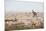 Giraffes, Springbok, Oryx Among Others in Etosha National Park, Namibia, by a Watering Hole-Alex Saberi-Mounted Photographic Print