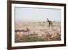 Giraffes, Springbok, Oryx Among Others in Etosha National Park, Namibia, by a Watering Hole-Alex Saberi-Framed Photographic Print