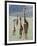 Giraffes Standing in a Forest, Lake Manyara, Tanzania-null-Framed Photographic Print