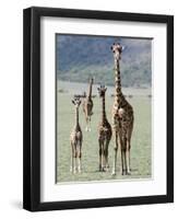 Giraffes Standing in a Forest, Lake Manyara, Tanzania-null-Framed Photographic Print