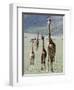 Giraffes Standing in a Forest, Lake Manyara, Tanzania-null-Framed Photographic Print