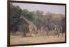 Giraffes Walking through the Grass-DLILLC-Framed Photographic Print