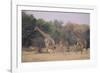 Giraffes Walking through the Grass-DLILLC-Framed Photographic Print