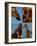 Giraffes-Jean-Michel Labat-Framed Art Print