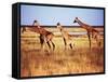 Giraffes-null-Framed Stretched Canvas