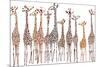 Giraffes-Milovelen-Mounted Art Print