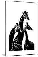 Giraffes-Alex Cherry-Mounted Art Print
