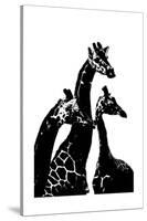 Giraffes-Alex Cherry-Stretched Canvas