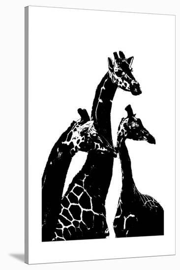Giraffes-Alex Cherry-Stretched Canvas