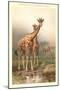 Giraffes-null-Mounted Art Print