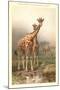 Giraffes-null-Mounted Art Print