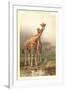Giraffes-null-Framed Art Print