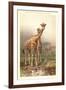 Giraffes-null-Framed Art Print