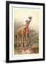 Giraffes-null-Framed Art Print