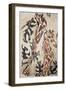 Giraffes-Norma Kramer-Framed Art Print