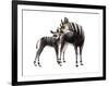 Giraffokeryx-null-Framed Photographic Print