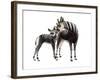 Giraffokeryx-null-Framed Photographic Print