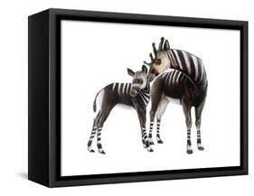 Giraffokeryx-null-Framed Stretched Canvas