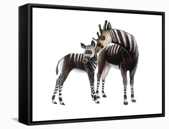 Giraffokeryx-null-Framed Stretched Canvas