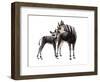 Giraffokeryx-null-Framed Photographic Print