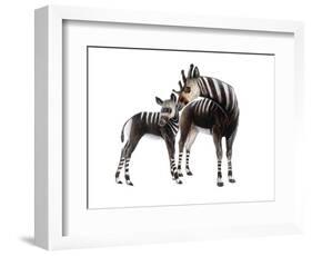 Giraffokeryx-null-Framed Photographic Print