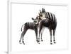 Giraffokeryx-null-Framed Photographic Print