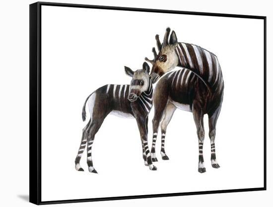 Giraffokeryx-null-Framed Stretched Canvas