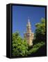 Giralda Framed by Orange Trees, Seville, Andalucia, Spain, Europe-Tomlinson Ruth-Framed Stretched Canvas