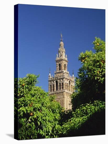 Giralda Framed by Orange Trees, Seville, Andalucia, Spain, Europe-Tomlinson Ruth-Stretched Canvas