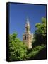 Giralda Framed by Orange Trees, Seville, Andalucia, Spain, Europe-Tomlinson Ruth-Framed Stretched Canvas