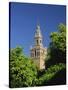 Giralda Framed by Orange Trees, Seville, Andalucia, Spain, Europe-Tomlinson Ruth-Stretched Canvas