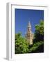 Giralda Framed by Orange Trees, Seville, Andalucia, Spain, Europe-Tomlinson Ruth-Framed Photographic Print