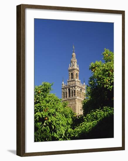 Giralda Framed by Orange Trees, Seville, Andalucia, Spain, Europe-Tomlinson Ruth-Framed Photographic Print