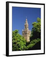 Giralda Framed by Orange Trees, Seville, Andalucia, Spain, Europe-Tomlinson Ruth-Framed Photographic Print