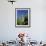 Giralda Framed by Orange Trees, Seville, Andalucia, Spain, Europe-Tomlinson Ruth-Framed Photographic Print displayed on a wall