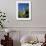 Giralda Framed by Orange Trees, Seville, Andalucia, Spain, Europe-Tomlinson Ruth-Framed Photographic Print displayed on a wall