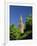 Giralda Framed by Orange Trees, Seville, Andalucia, Spain, Europe-Tomlinson Ruth-Framed Photographic Print