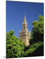 Giralda Framed by Orange Trees, Seville, Andalucia, Spain, Europe-Tomlinson Ruth-Mounted Photographic Print